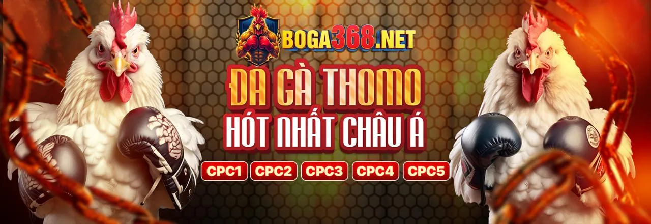 Đa dạng các trận đá gà Thomo