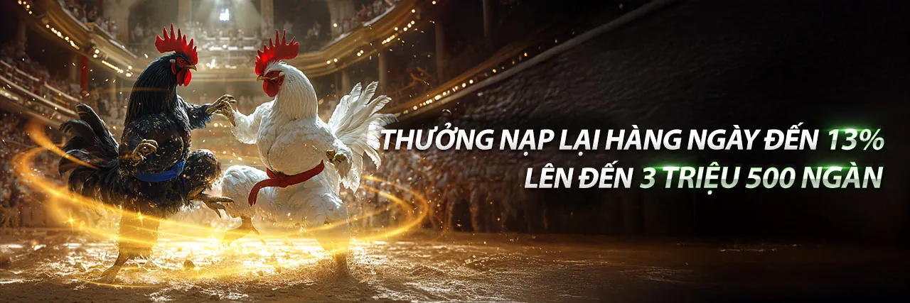 Hình ảnh chính hoạt động hoàn trả hàng ngày tại ae888 soy