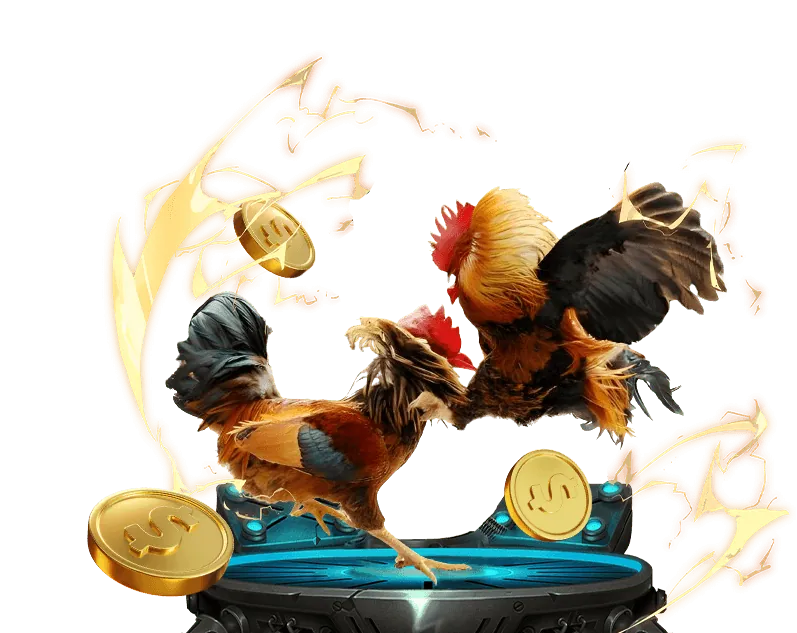 Đá gà trực tiếp và các loại hình xổ số phong phú tại FABET, trải nghiệm ae888 soy độc đáo.